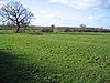 Churton Heath - Ridge and Furrow Farmland.jpg