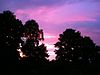 Cuddington (Eddisbury) - Solstice Sunset.jpg