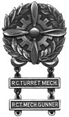USAAF - Tech Badge BW.jpg