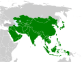 Members of the Olympic Council of Asia