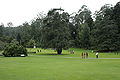 Ooty Botanical Gardens.jpg