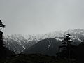 Swat-valley-1232.JPG