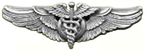 USAAF Flight Surgeon Wings.png