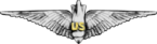 USA - WWI Bombadier Wings.png