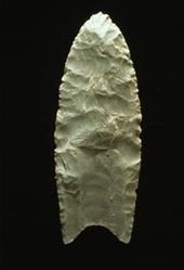 "A Clovis  blade with medium to large lanceolate spear-knife points. Side is parallel to convex and exhibit careful pressure flaking along the blade edge. The broadest area is near the midsection or toward the base. The Base is distinctly concave with a characteristic flute or channel flake removed from one or, more commonly, both surfaces of the blade.  The lower edges of the blade and base is ground to dull edges for hafting. Clovis points also tend to be thicker than the typically thin latter stage  Folsom points. Length: 4–20 cm/1.5–8 in. Width: 2.5–5 cm/1–2