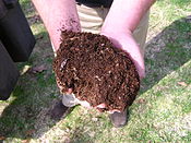 Compost-dirt.jpg