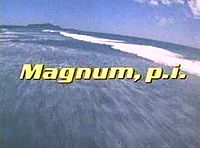 Magnum P.I..jpg