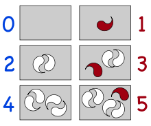 On the left, boxes with 0, 2, and 4 white objects in pairs; on the right, 1, 3, and 5 objects, with the unpaired object in red