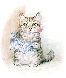 A kitten holding a cloth