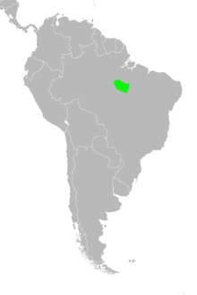 Map of South America showing the distribution of Euryoryzomys emmonsae in central Brazil.