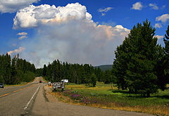 A paved road with trees and grasses on the side with a large, white and dark gray smoke cloud rising in the distance.