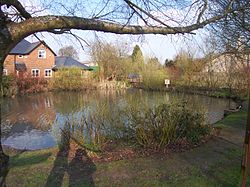 Cliddesden-village-pond.jpg