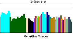 PBB GE DRD2 216924 s at tn.png