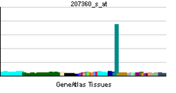 PBB GE NTSR1 207360 s at tn.png