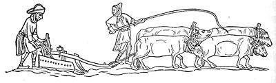 A monochrome, profile illustration of four oxen dragging a plough through a field. The ploughman walks behind, controlling the plough, while his colleague stands to his side, holding a long whip in the air.