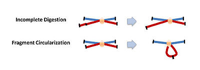 Over-represented Ligation Junctions.jpg