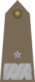 Rank insignia of generał brygady of the Army of Poland.svg