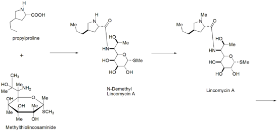 Lincomycin synth.png