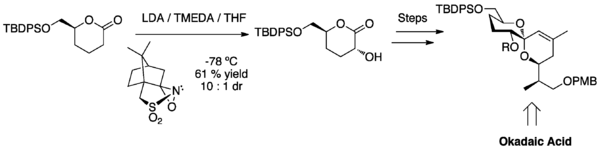 Alpha hydroxylation highlighted in the synthesis of Okadaic Acid