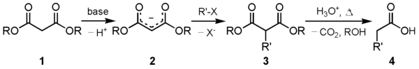 Malonic synthesis
