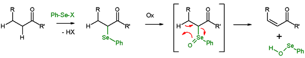 Scheme 2. Selenoxide elimination of carbonyl compounds
