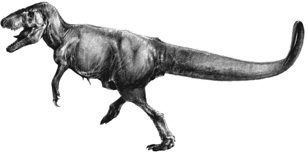 http://en.academic.ru/pictures/enwiki/68/Dryptosaurus.jpg