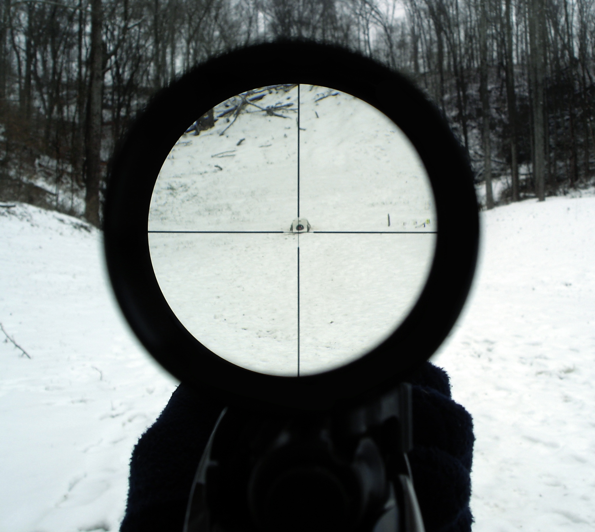 Sighting In A Rifle Scope At 50 Yards
