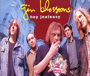 the gin blossoms spectacle