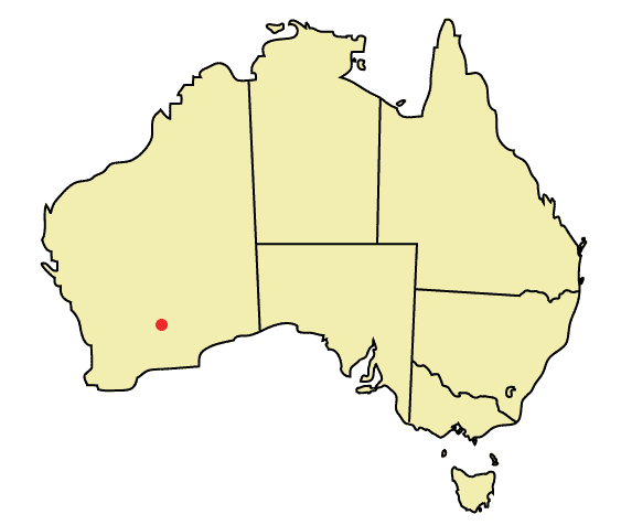 Kalgoorlie, Western Australia. Infobox Australian Place | type = city