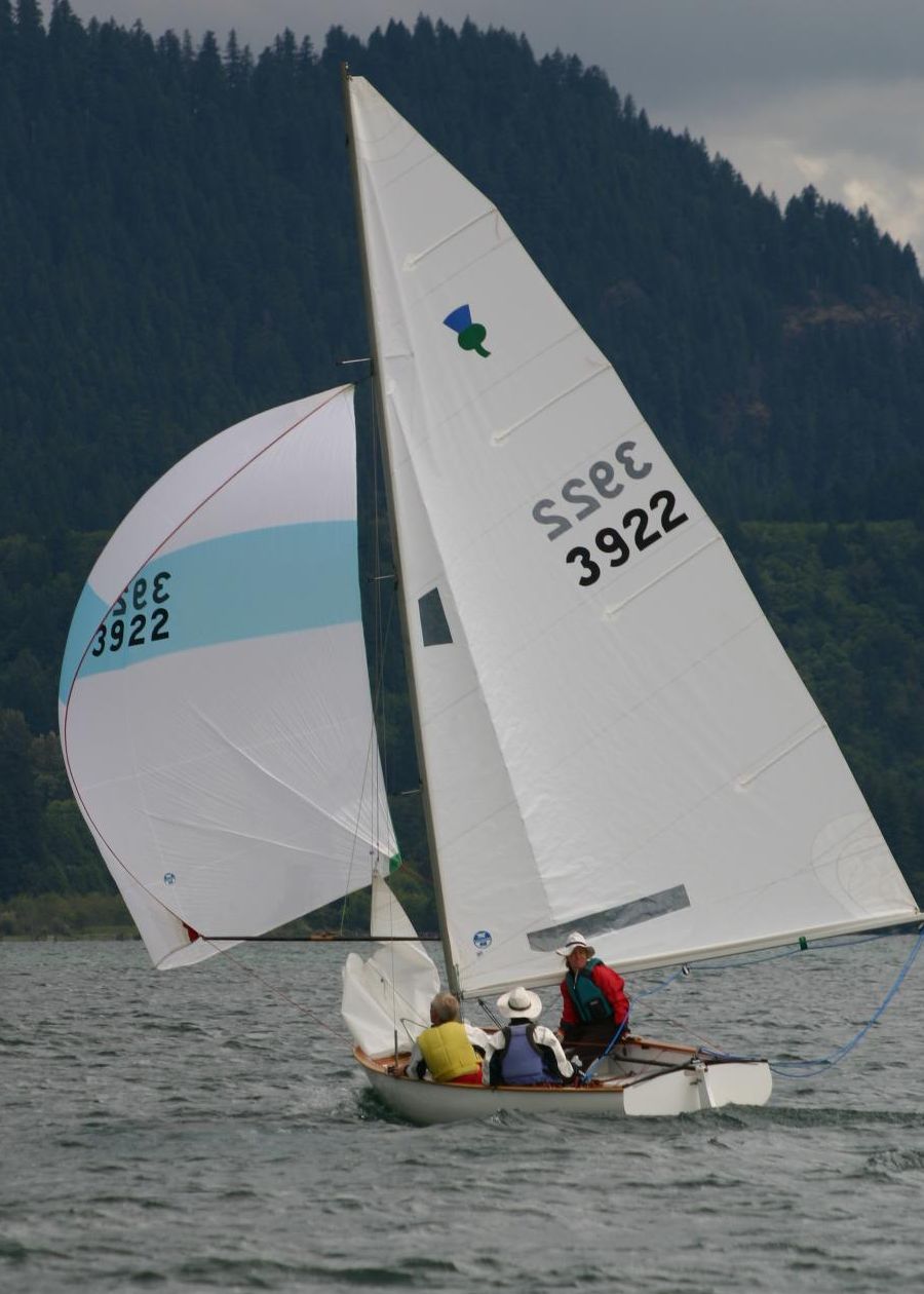 thistle  sailboat