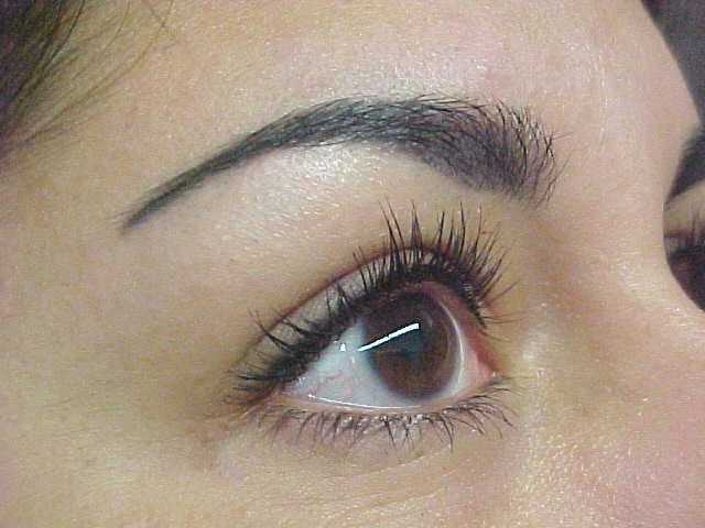 Eyebrow &amp; Top Eyeliner Procedure