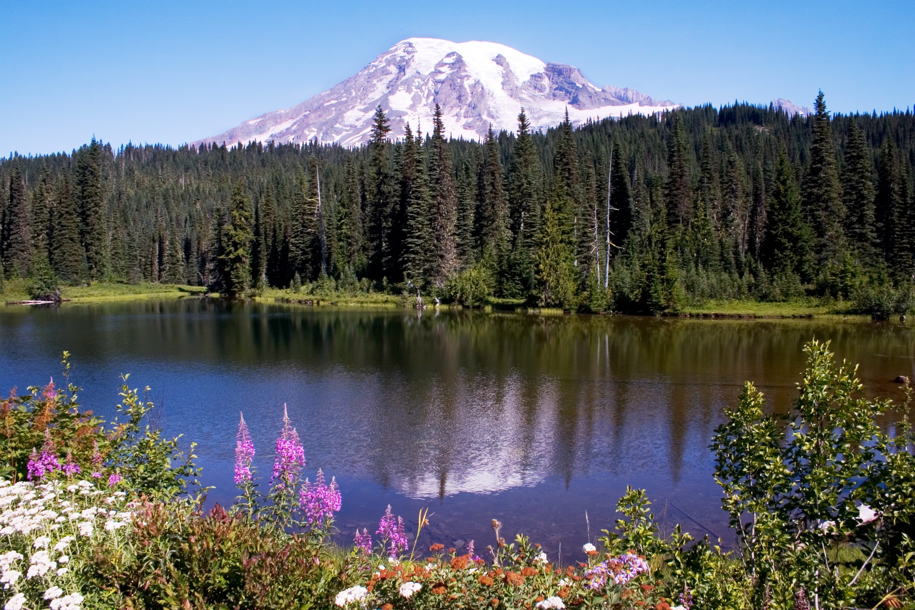 image_caption= Mount Rainier in Washington state
