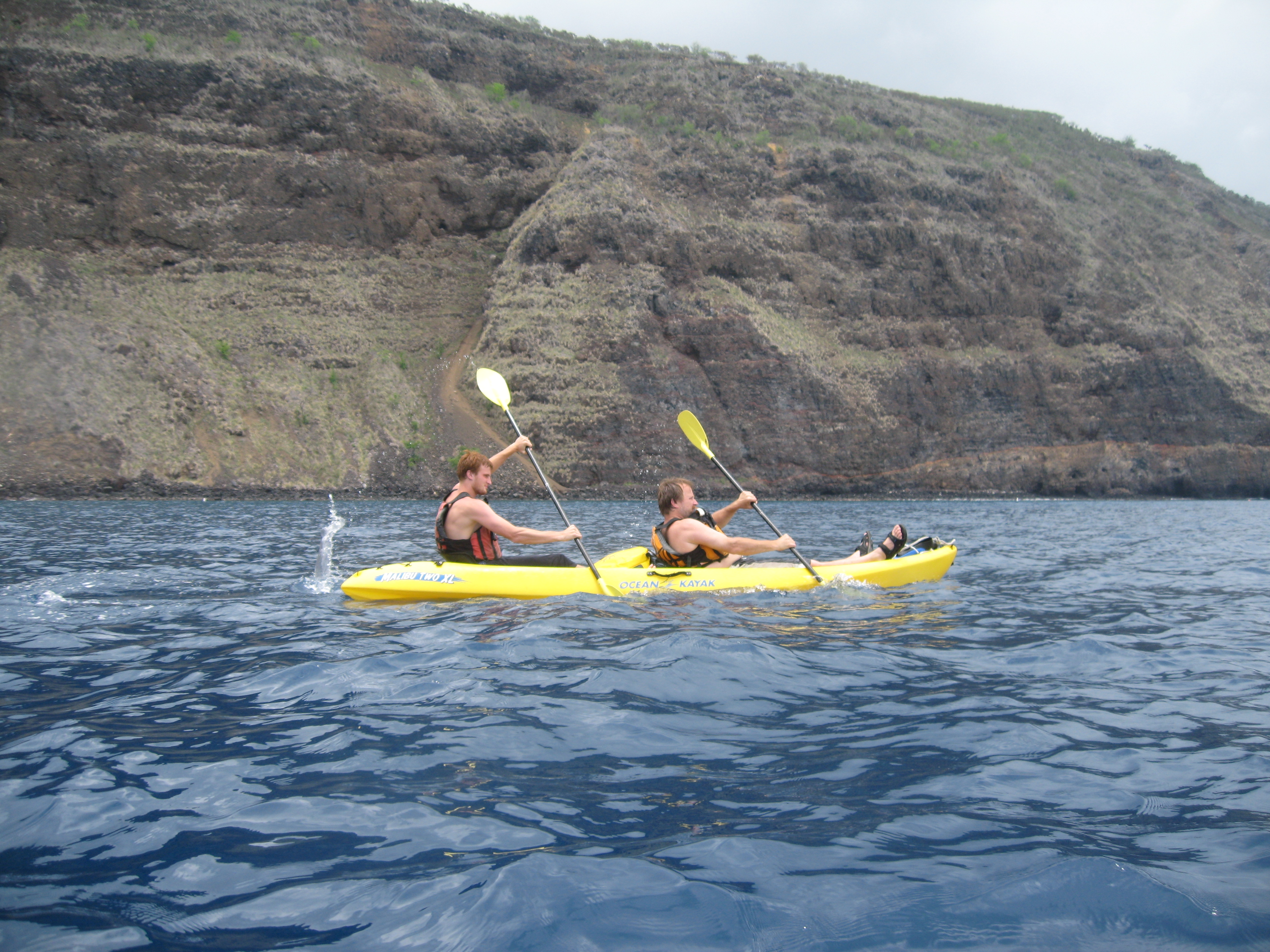 sea kayaking is a popular way to explore kealakekua bay hawaii