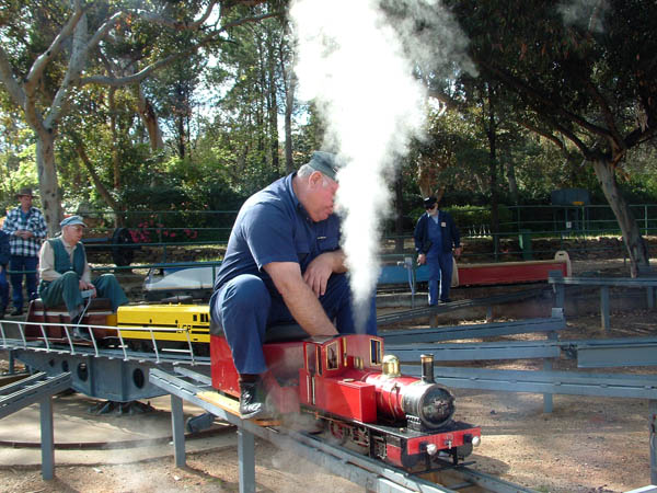 model train running on the Willans Hill Model Railway miniature 
