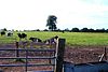 Chorlton - Heath Farm.jpg