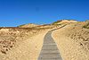 Sand dunes in Curonian Spit