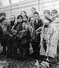 Children in the Holocaust concentration camp liberated by Red Army.jpg