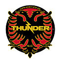 Dandenong Thunder SC Logo.jpg