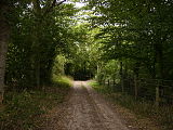 The Mortimer Trail near Lucton - geograph.org.uk - 219819.jpg