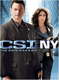 CSI NY Season 6.jpg