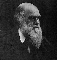 Charles Darwin photograph by Julia Margaret Cameron, 1969.jpg