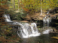 A double cascade falls over several layers of rock at left. A tributary enters the stream from the opposite bank in the form of a smaller waterfall. Conifer saplings are visible on the bank of the creek, which is surrounded by a mixed forest with a variety of autumn colors. The newly fallen leaves cover the rocks on the creek bank and are visible floating in the water.