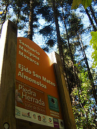 Santuario de la Mariposa Monarca (3088019191).jpg