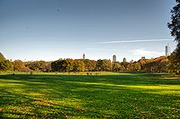 Sheep Meadow, Central Park during Autumn, NYC.jpg