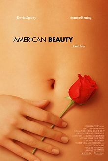 Poster image of a woman's belly with her hand holding a rose against it.