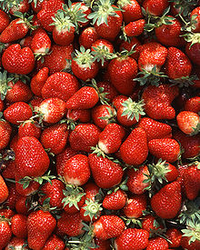 A closeup view of hundreds of red strawberries.