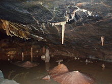 Dark brown cave interior with water. A white vertically hanging stalagmite shown above a brown mound on the cave floor