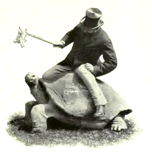 Black and white photograph of Walter Rothschild straddling an adult Galápagos tortoise. Rothschild is a Victorian gentleman sporting a beard and top hat.