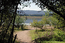 A sandy path leads through the woods to a lake. Beyond the lake is a line of trees. A low range of hills is visible in the far distance.