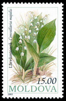 Stamp of Moldova 429.gif